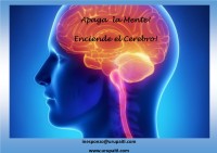 Apaga la Mente, Enciende el Cerebro 1