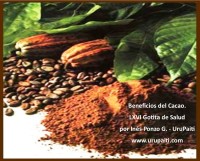 Cacao